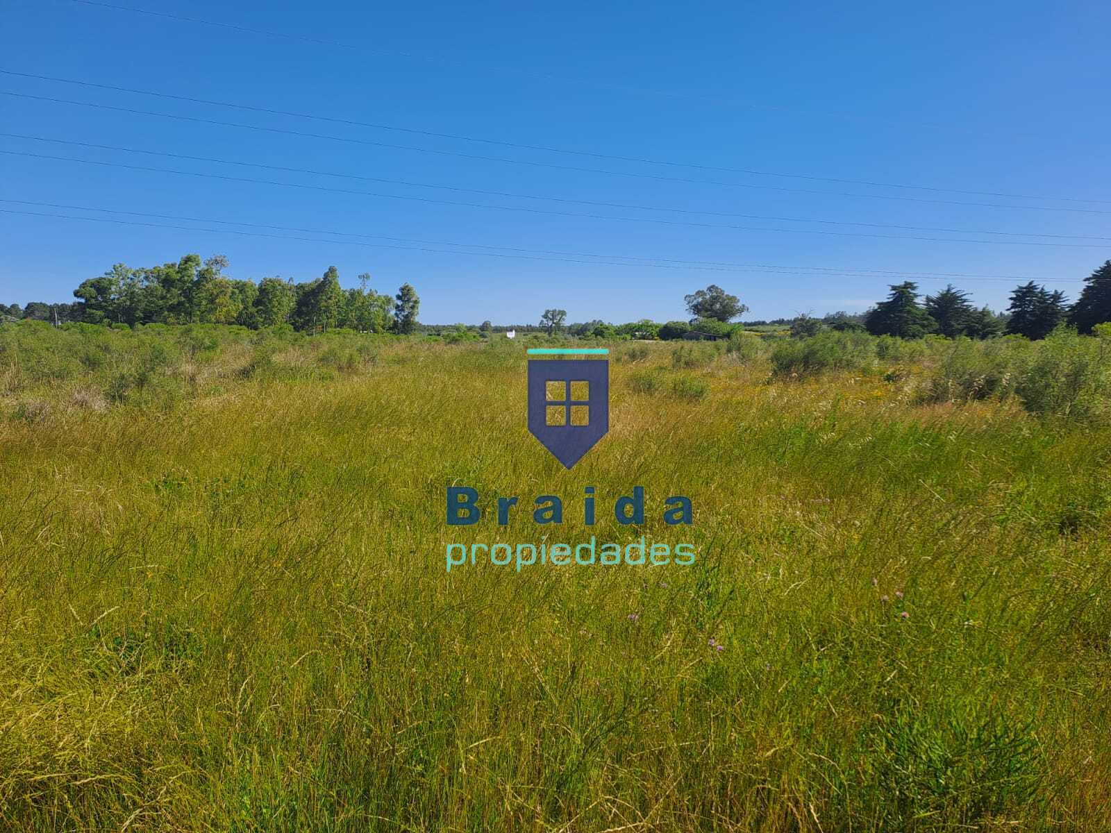 Gran campo en Soca en dos padrones