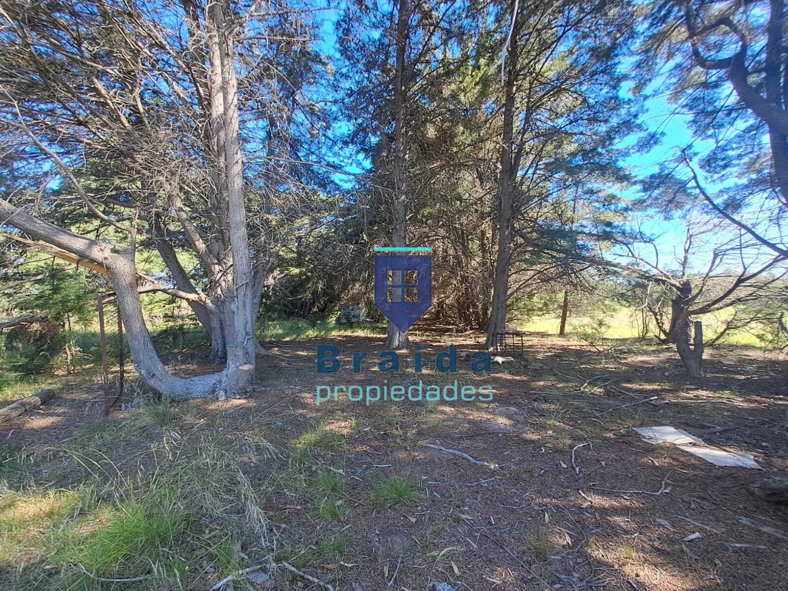 Gran campo en Soca en dos padrones