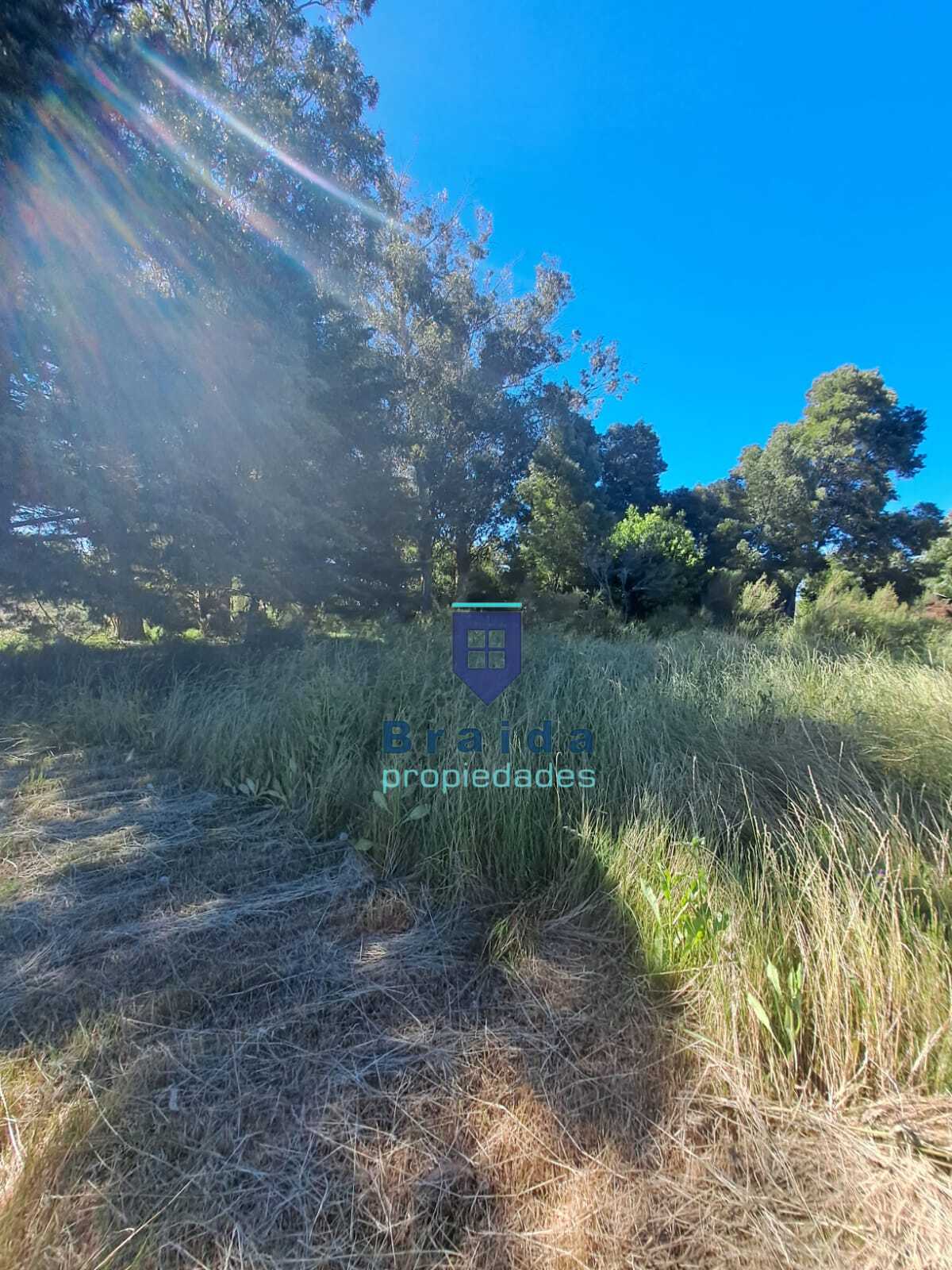 Gran campo en Soca en dos padrones