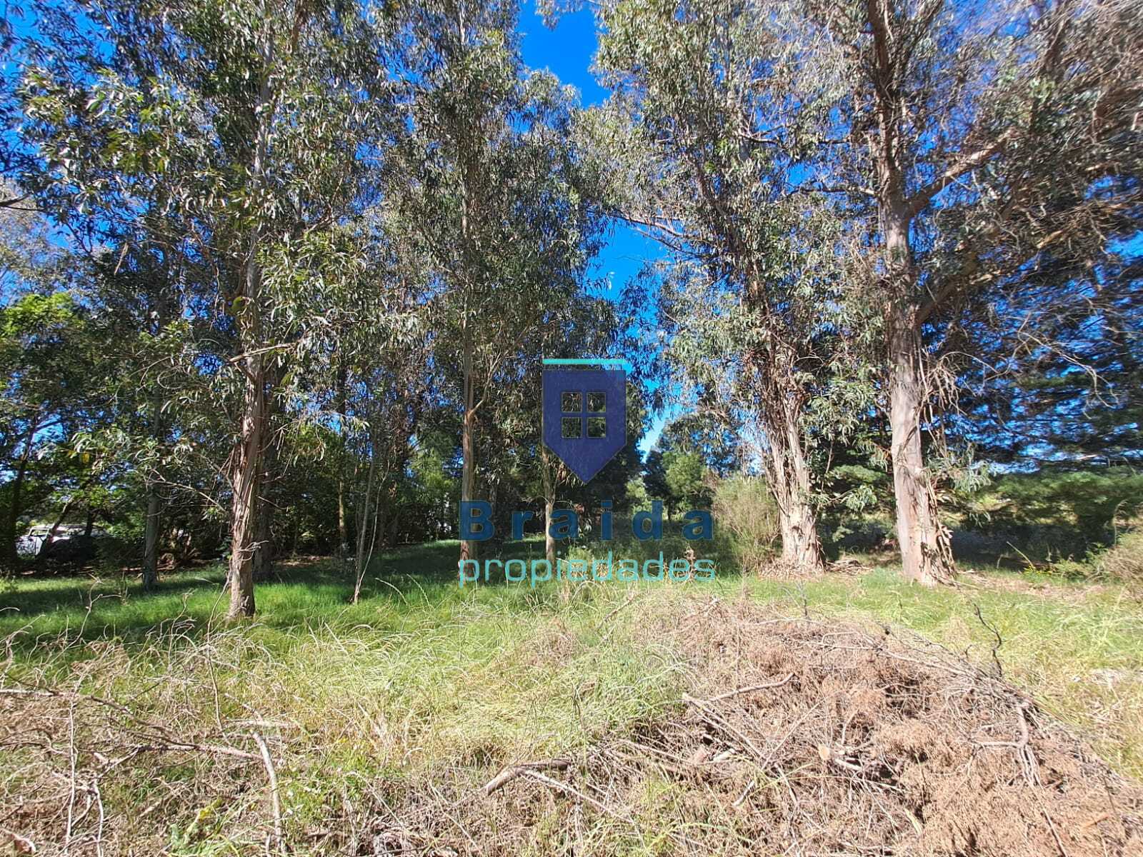 Gran campo en Soca en dos padrones