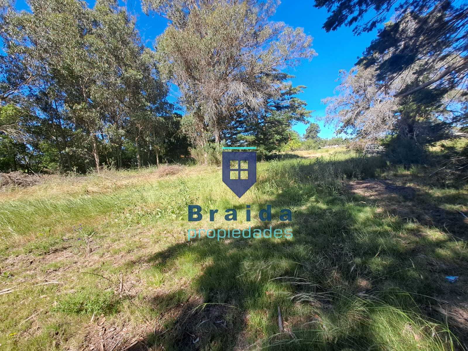 Gran campo en Soca en dos padrones