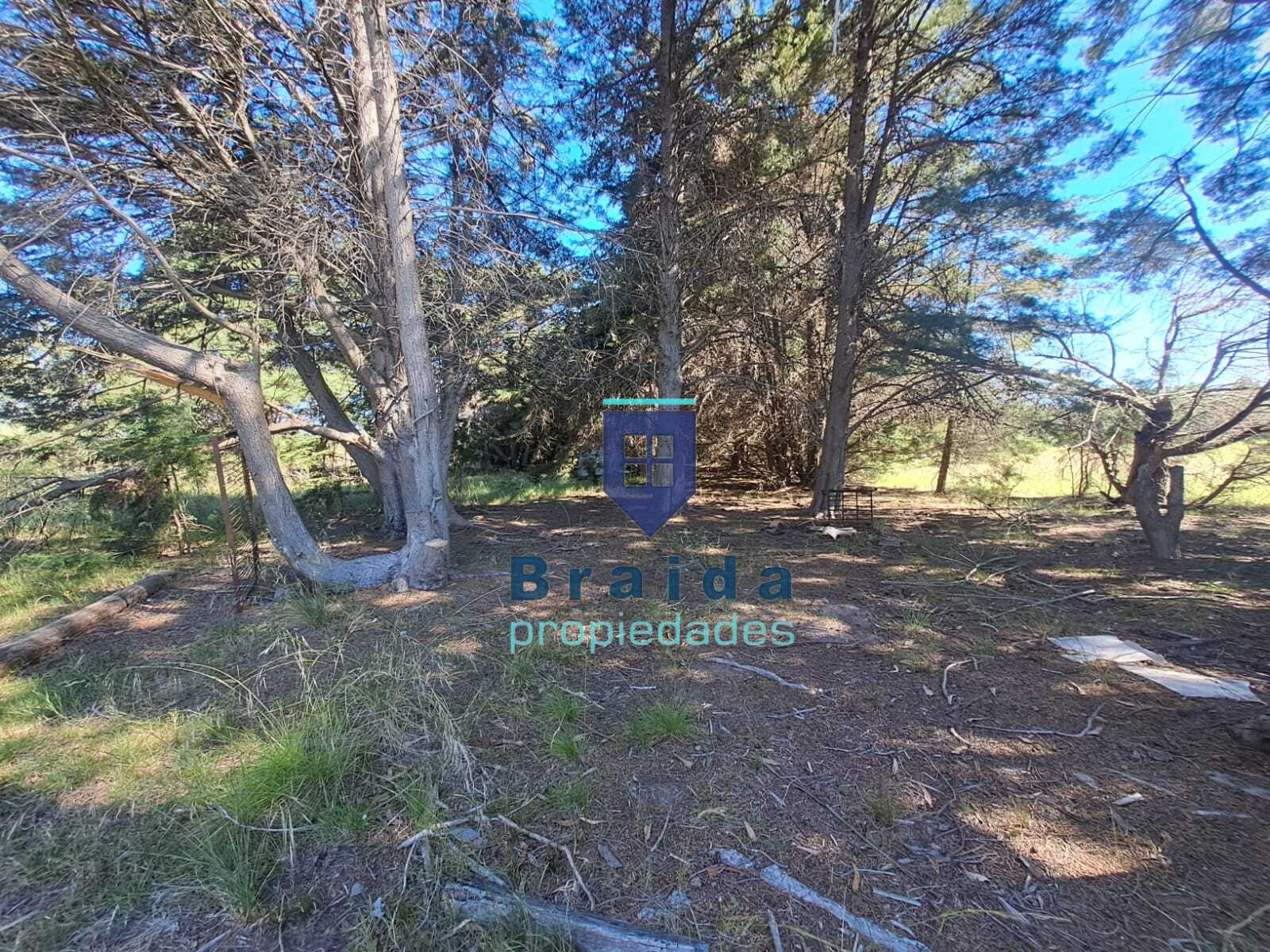 Gran campo en Soca en dos padrones