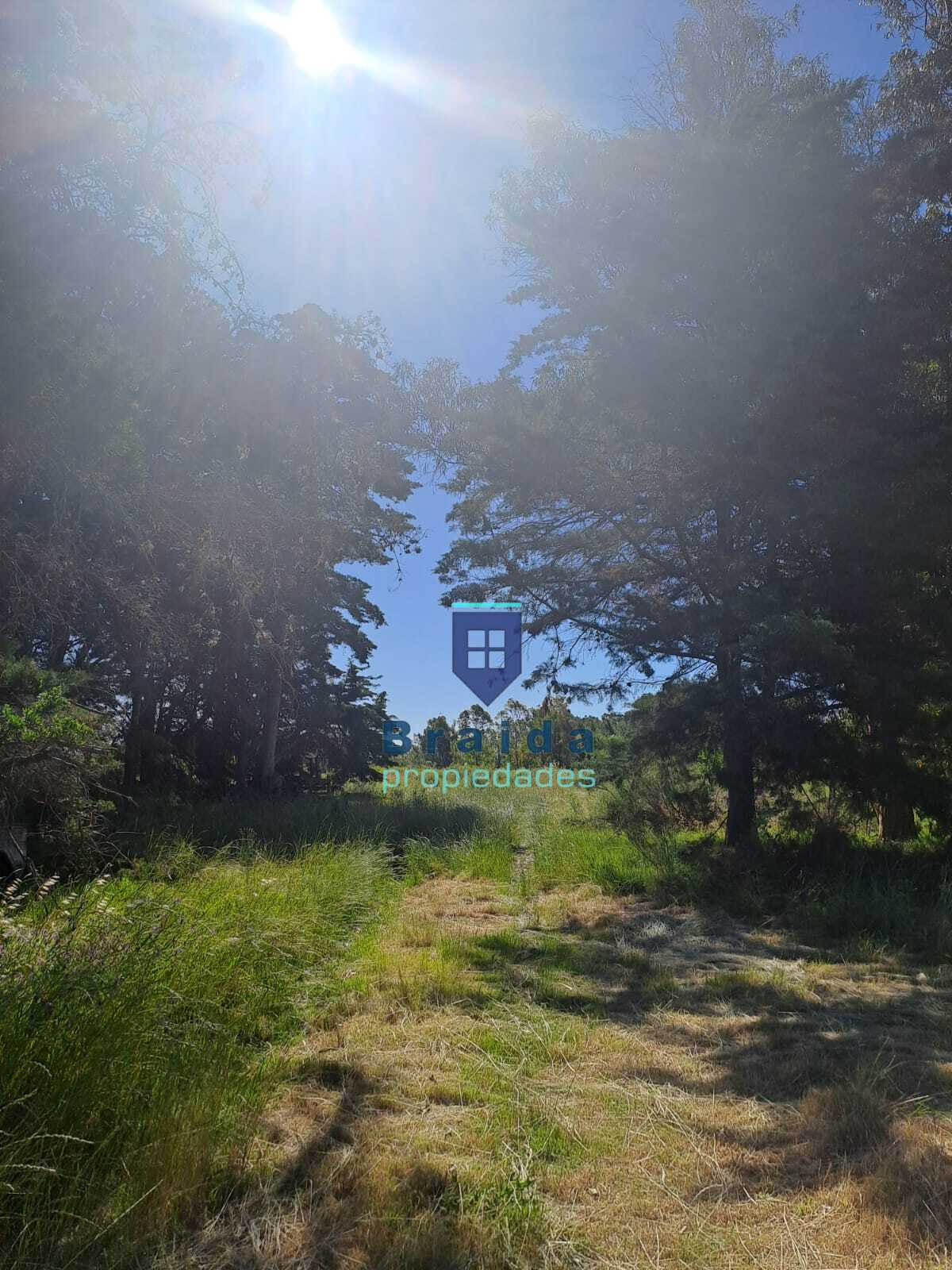 Gran campo en Soca en dos padrones