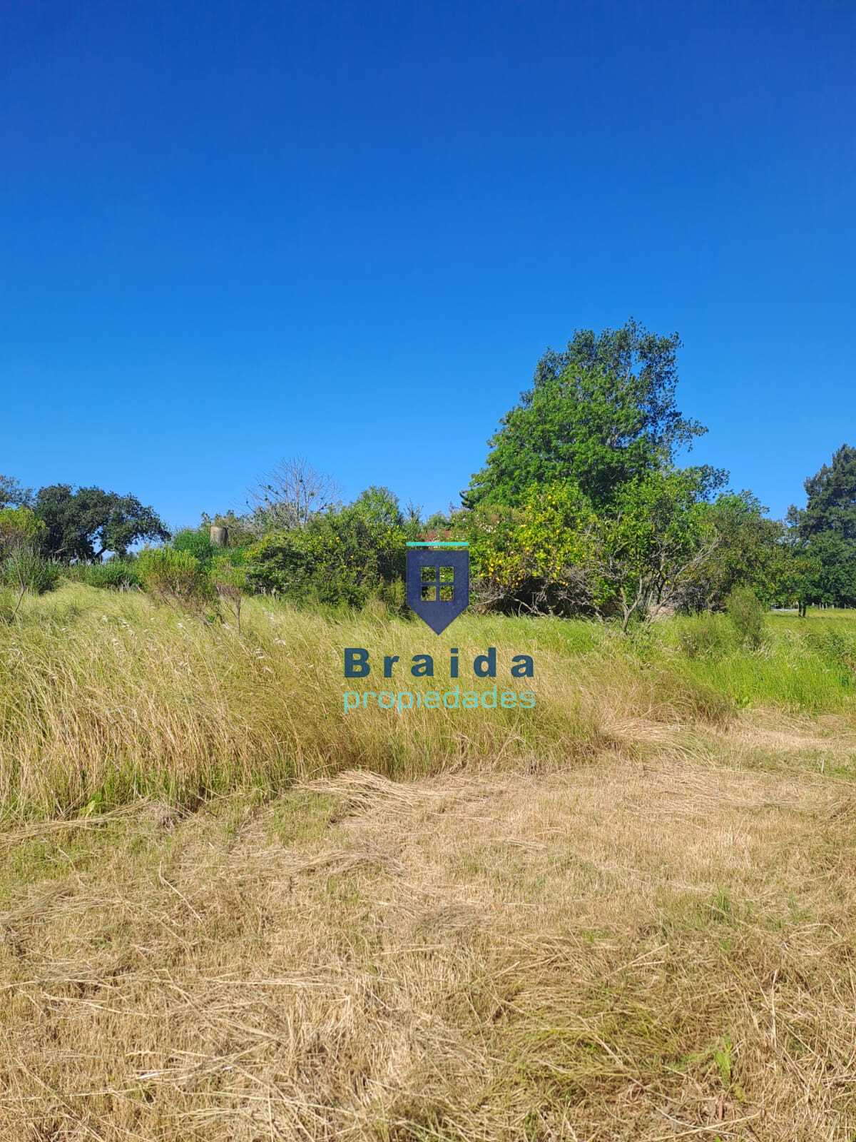 Gran campo en Soca en dos padrones