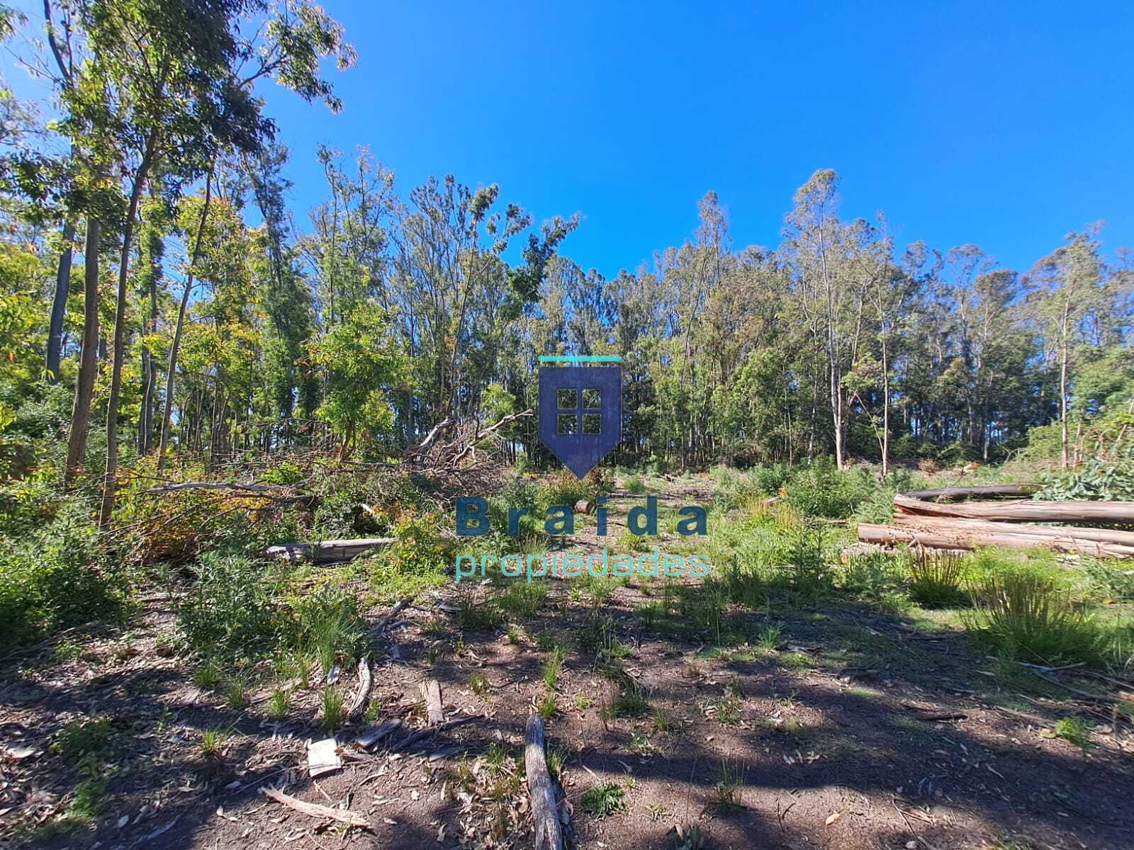 Gran campo en Soca en dos padrones