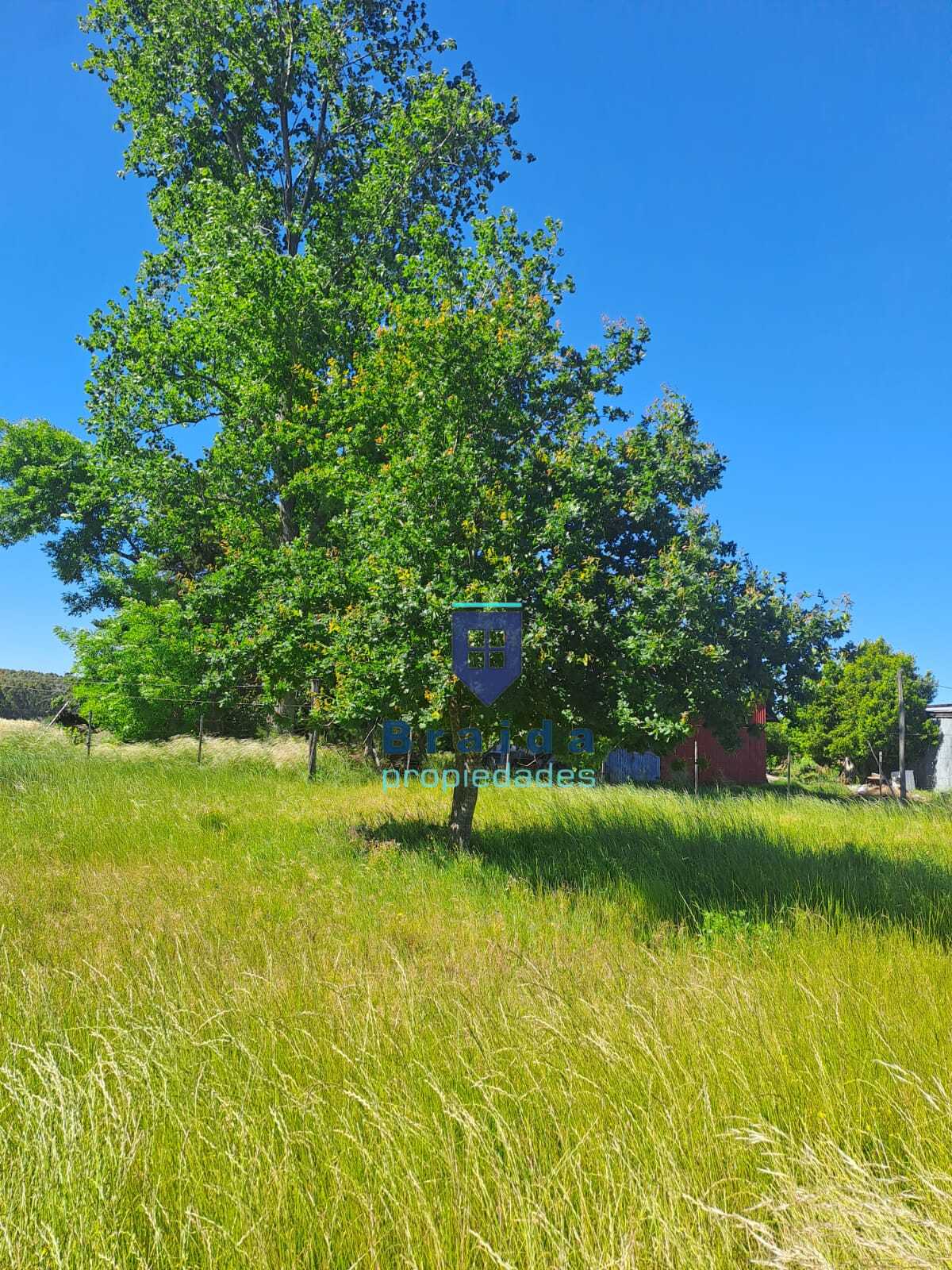 Gran campo en Soca en dos padrones