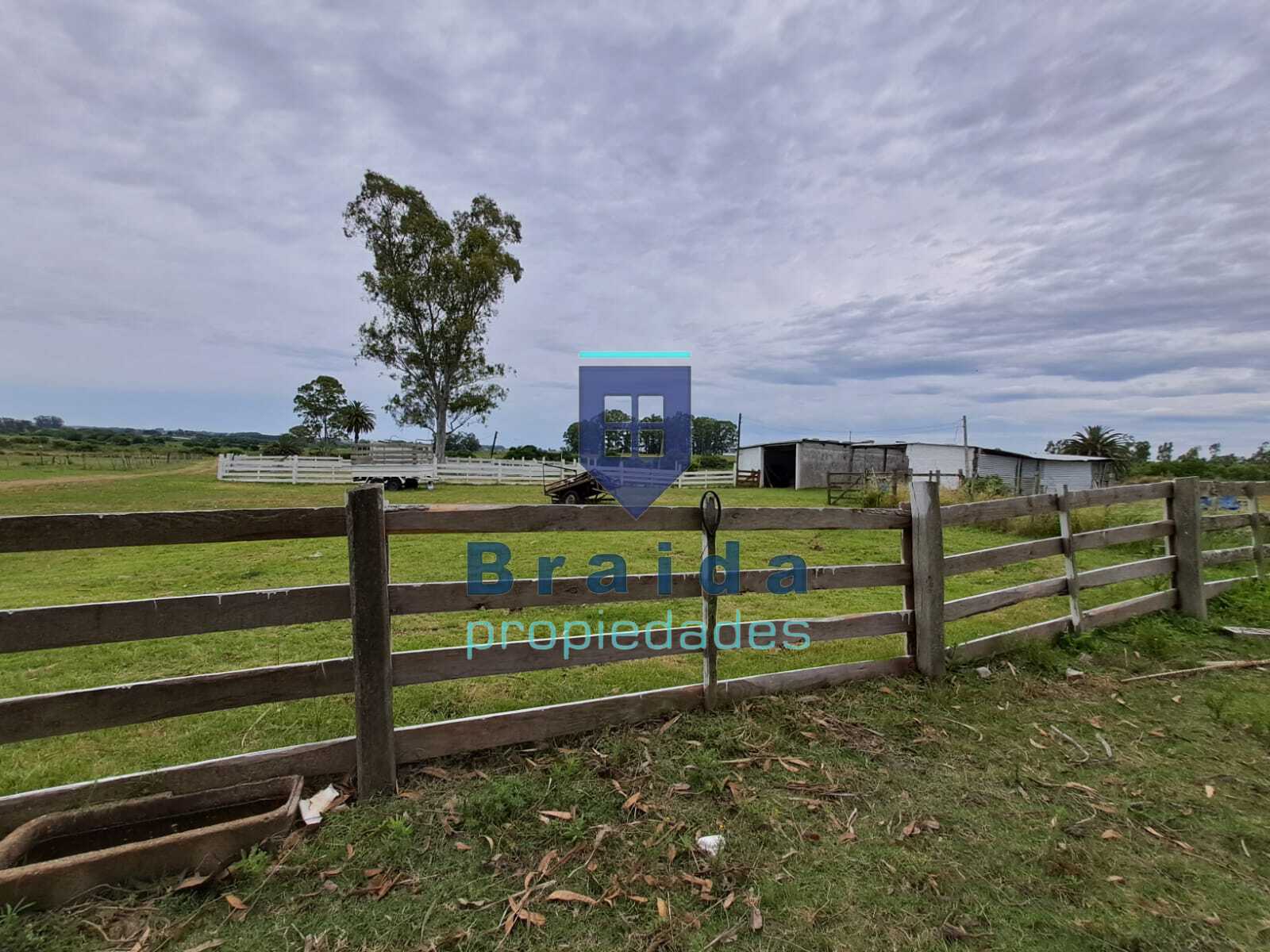 Gran casa y campo de 12 hectáreas