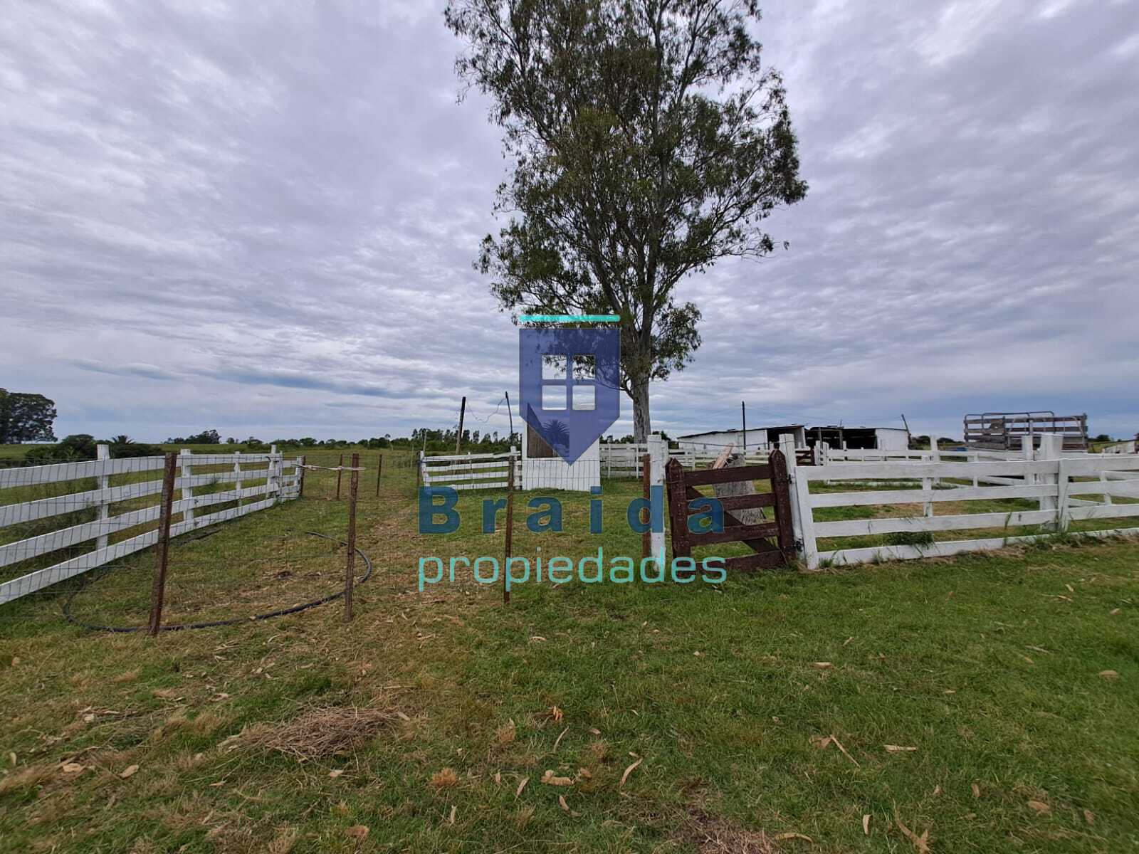 Gran casa y campo de 12 hectáreas