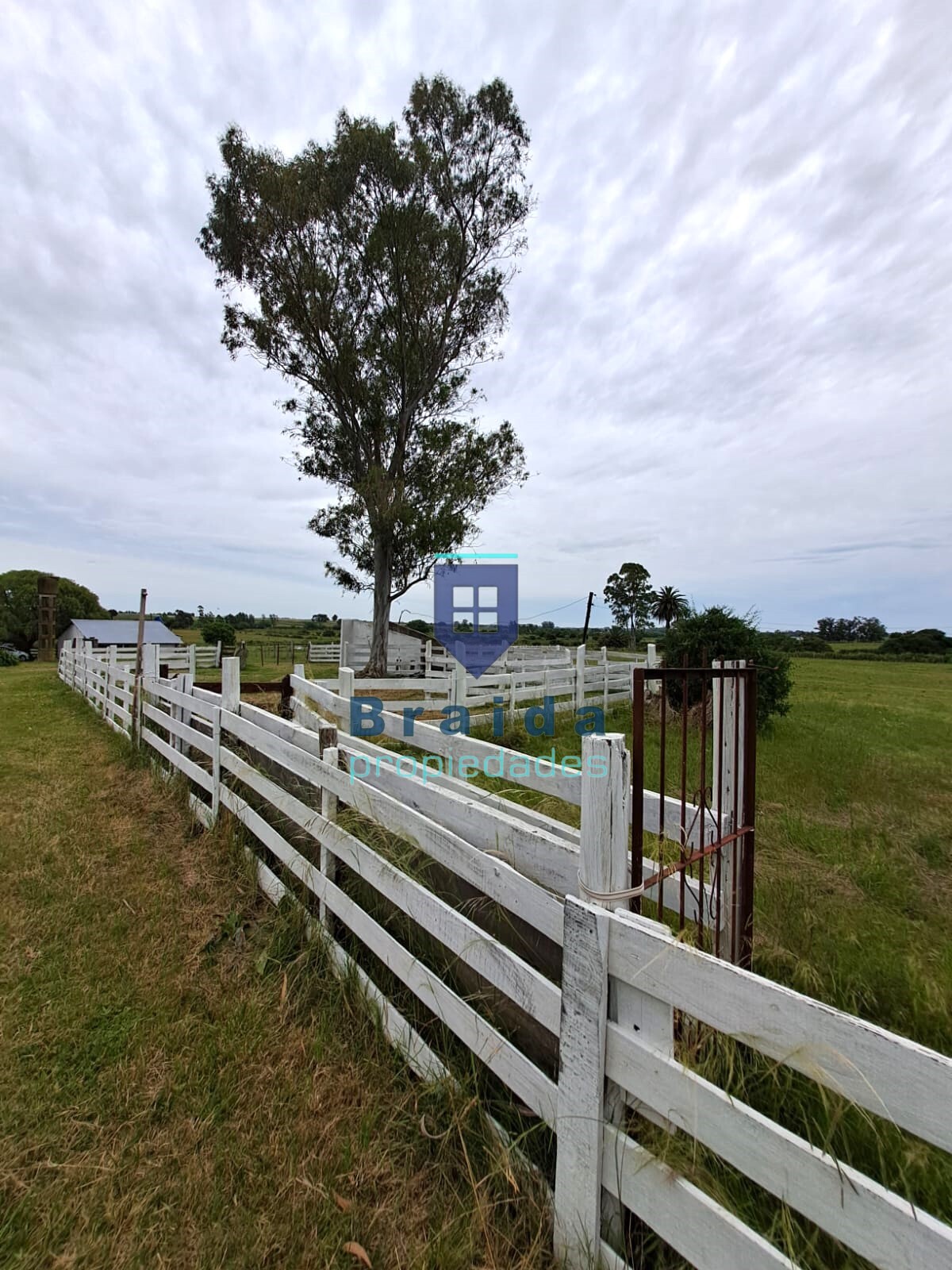 Gran casa y campo de 12 hectáreas
