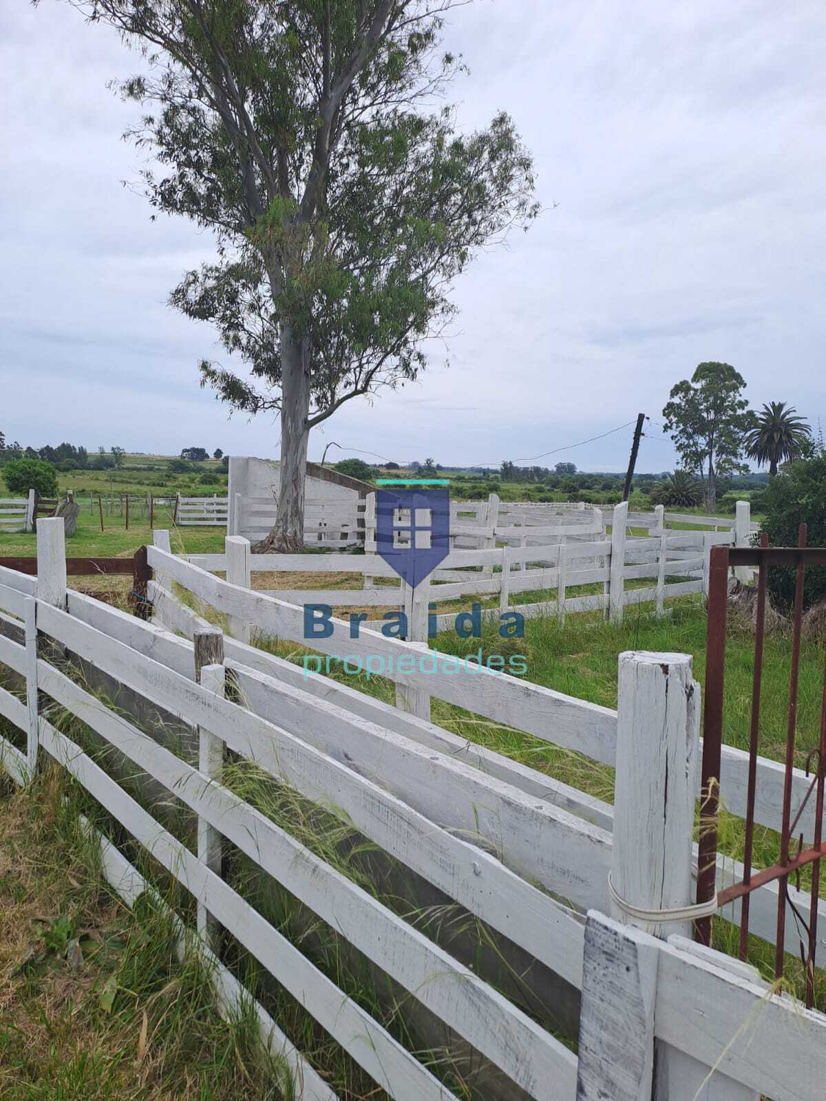 Gran casa y campo de 12 hectáreas
