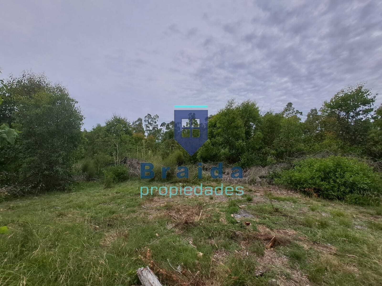 Gran casa y campo de 12 hectáreas