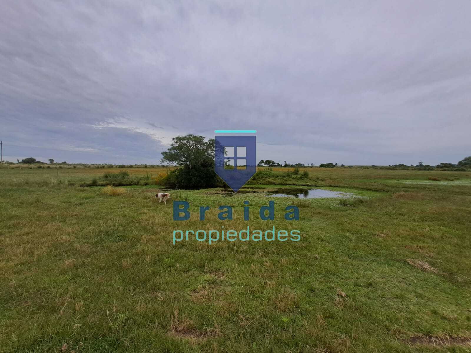 Gran casa y campo de 12 hectáreas