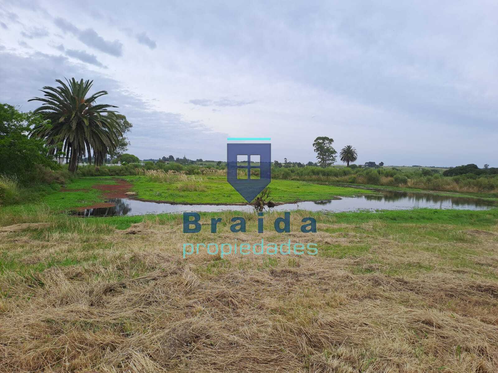 Gran casa y campo de 12 hectáreas