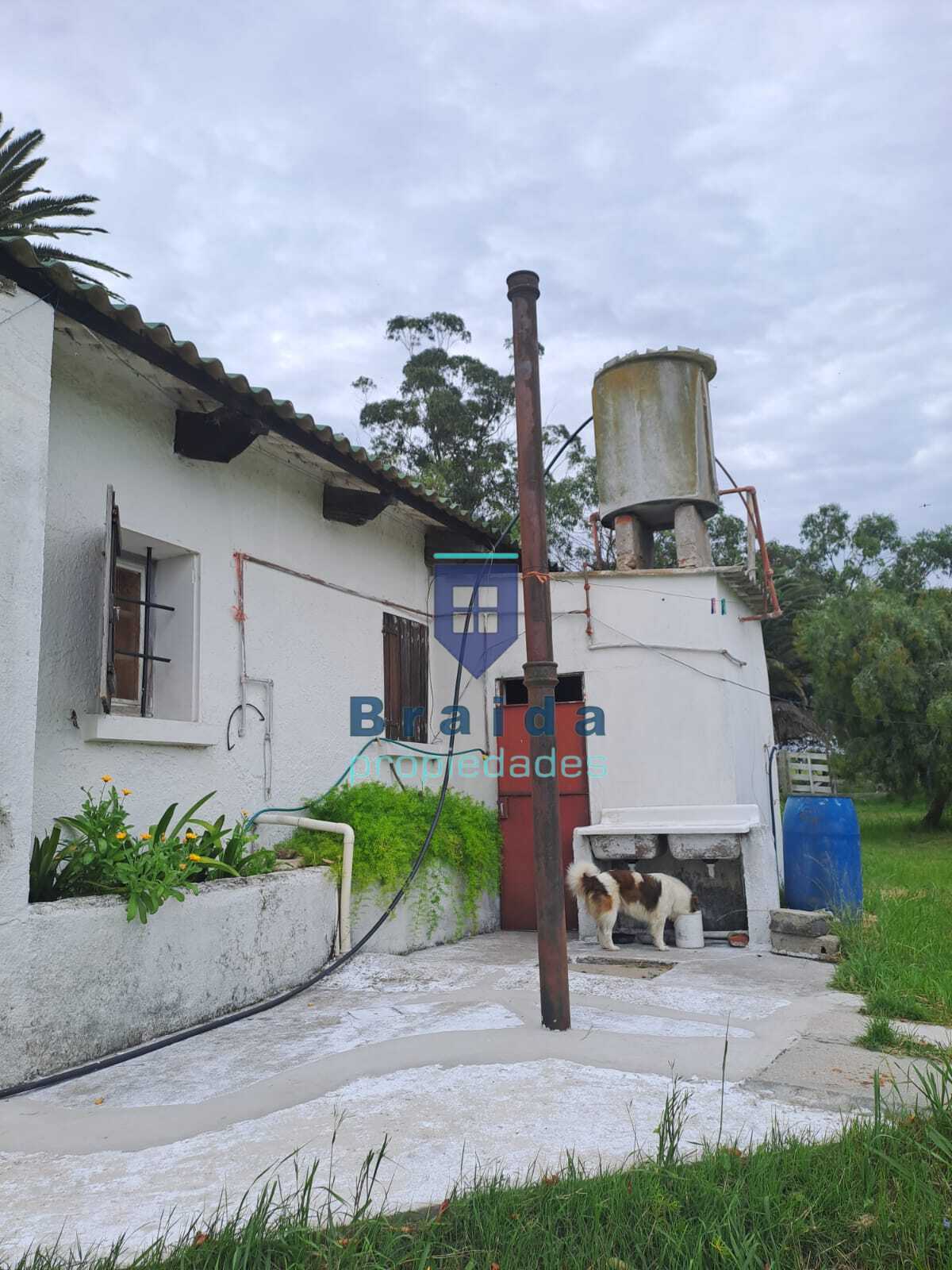 Gran casa y campo de 12 hectáreas