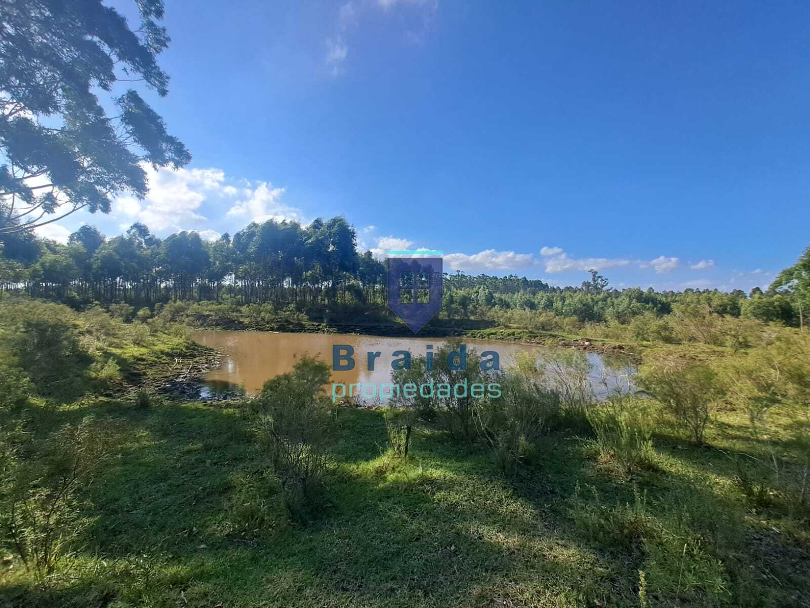 Gran chacra de 4 hectáreas con dos viviendas