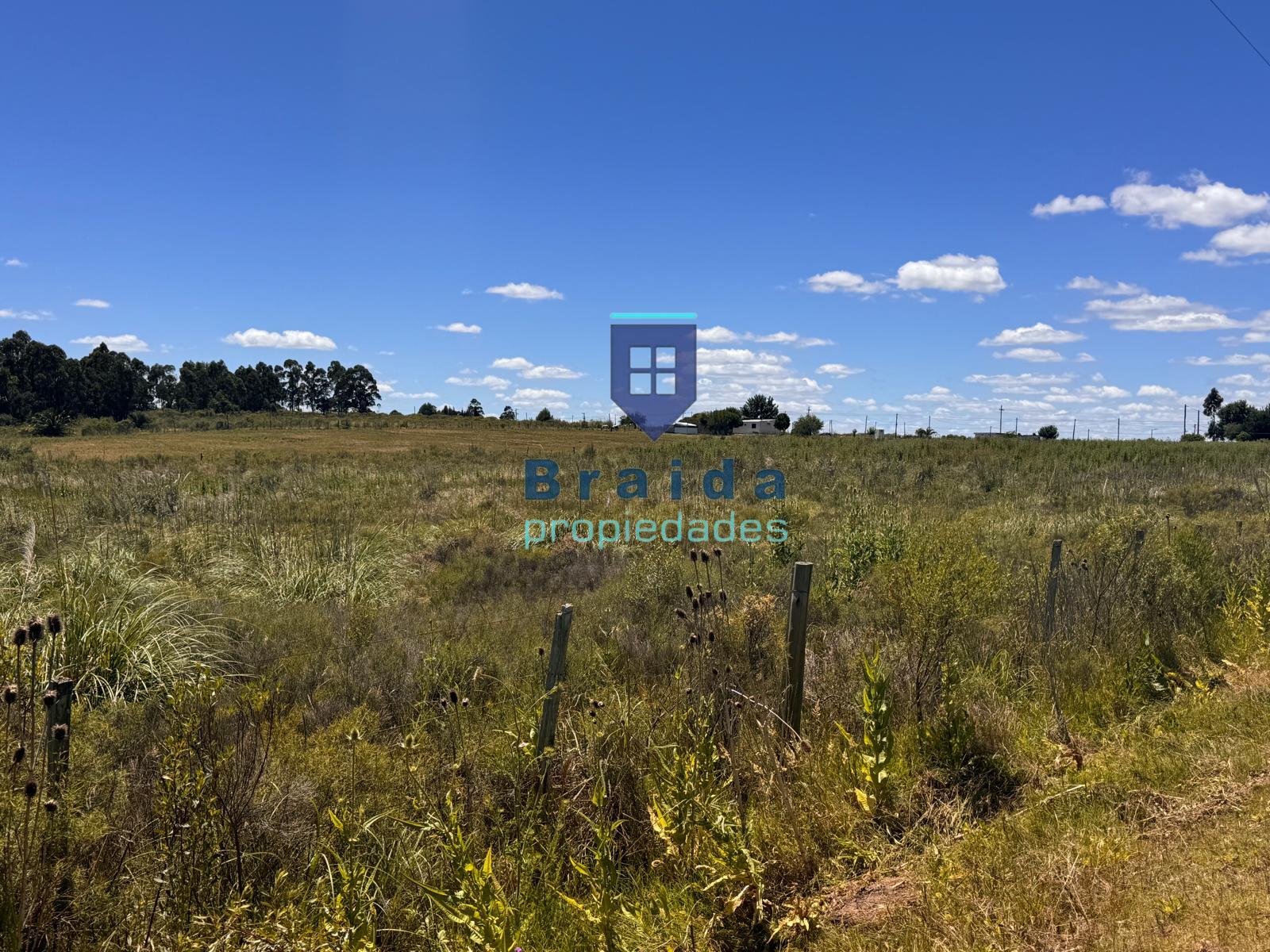 Campo de 2,5 hectáreas en Zona Rural de San Jacinto