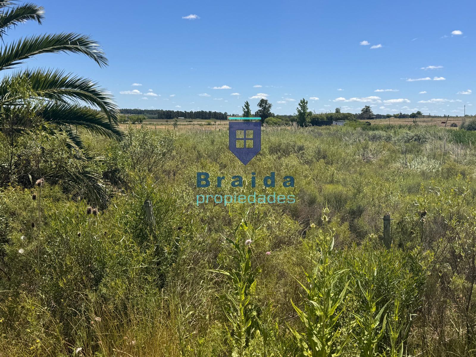 Campo de 2,5 hectáreas en Zona Rural de San Jacinto
