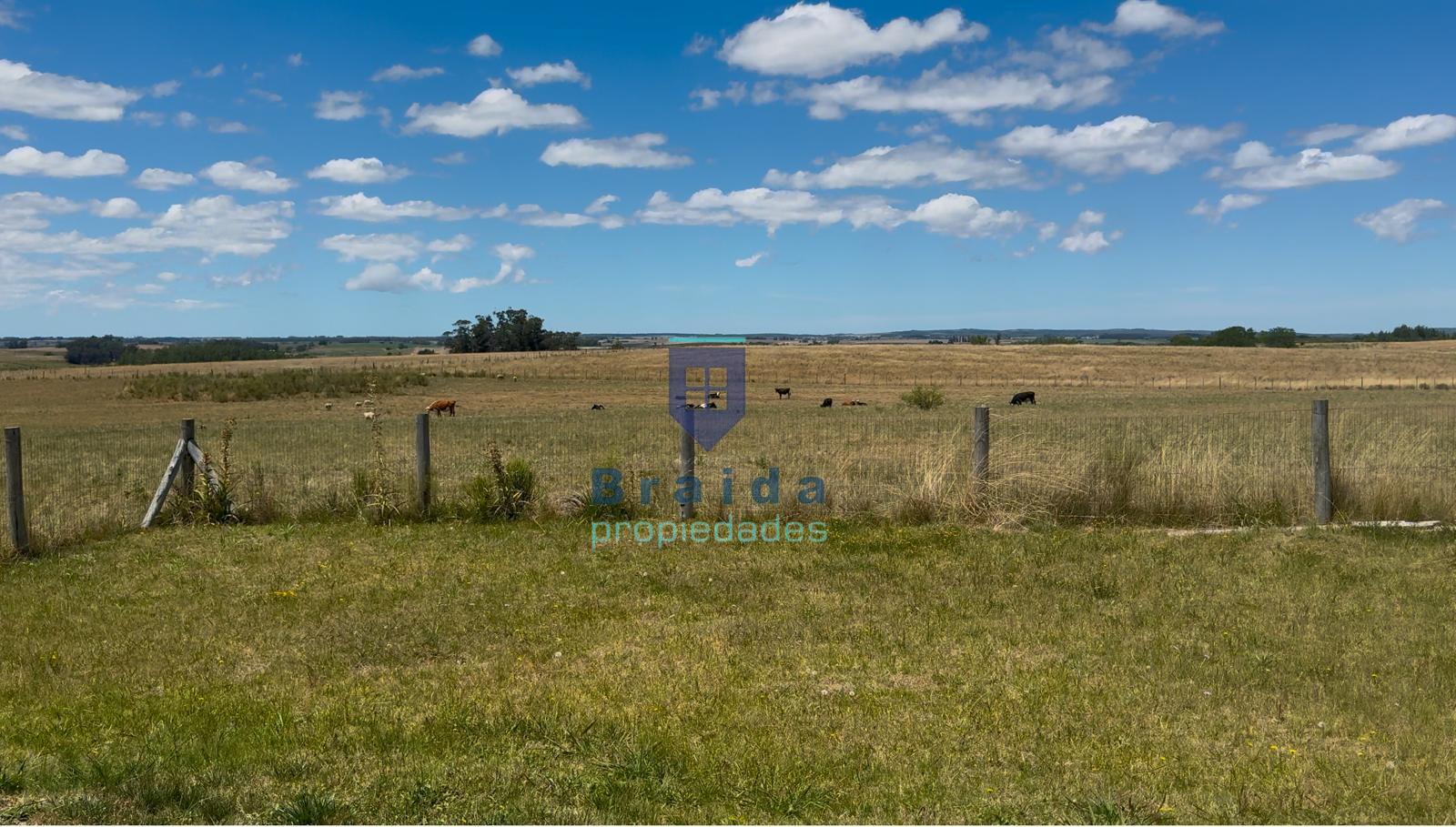 Excelente campo de 18 has con dos viviendas 