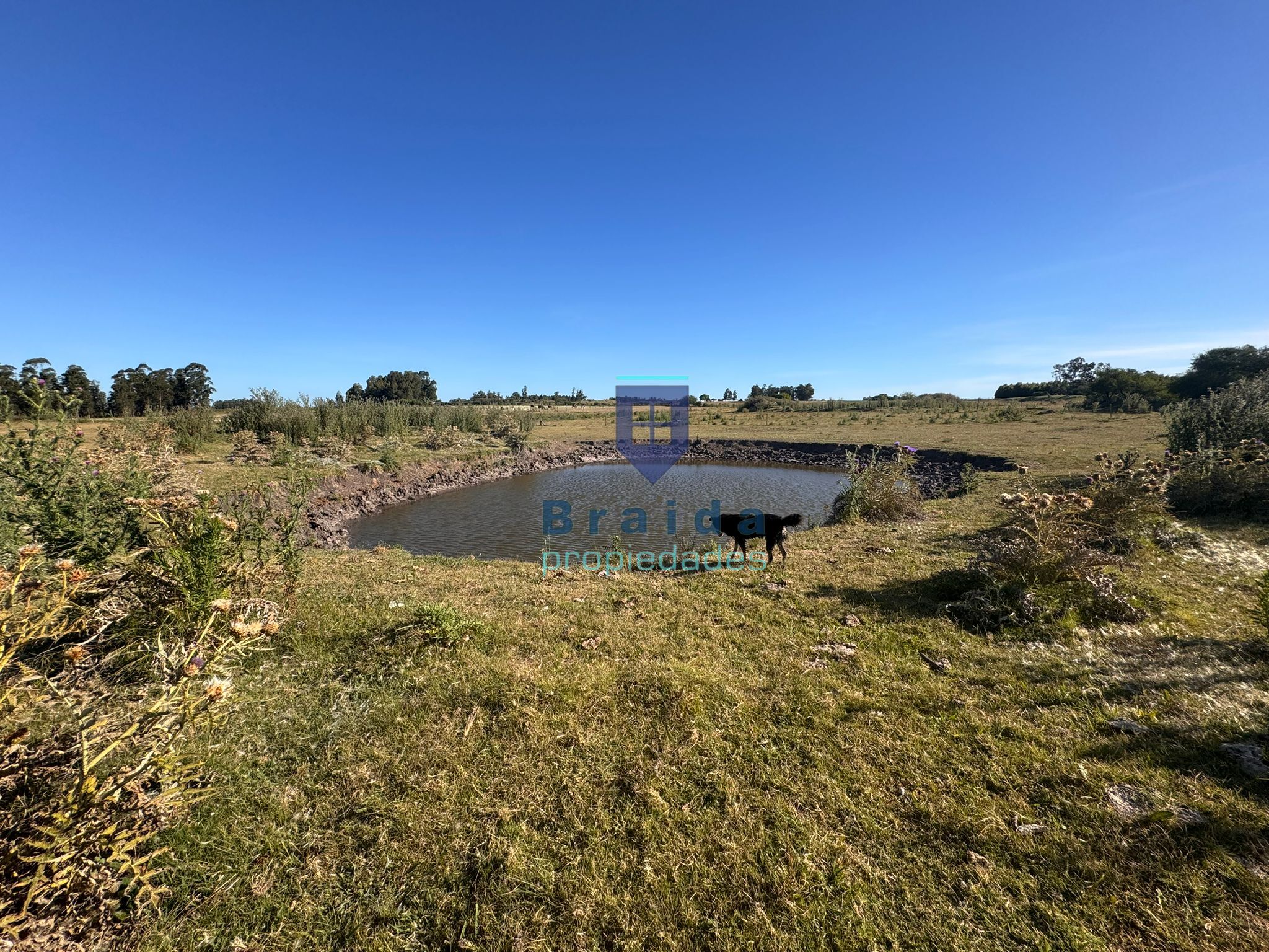 Campo de 11 hectáreas en km 49