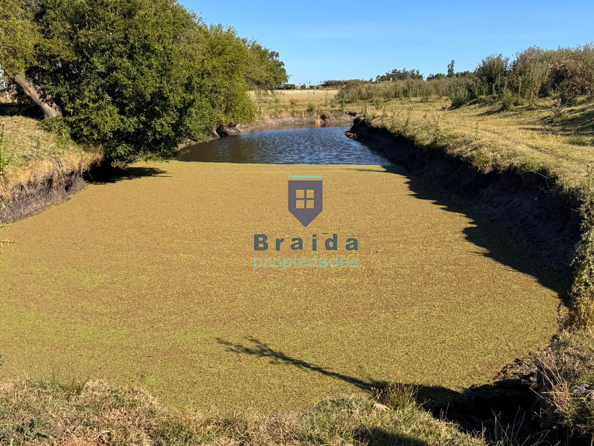 Campo de 11 hectáreas en km 49