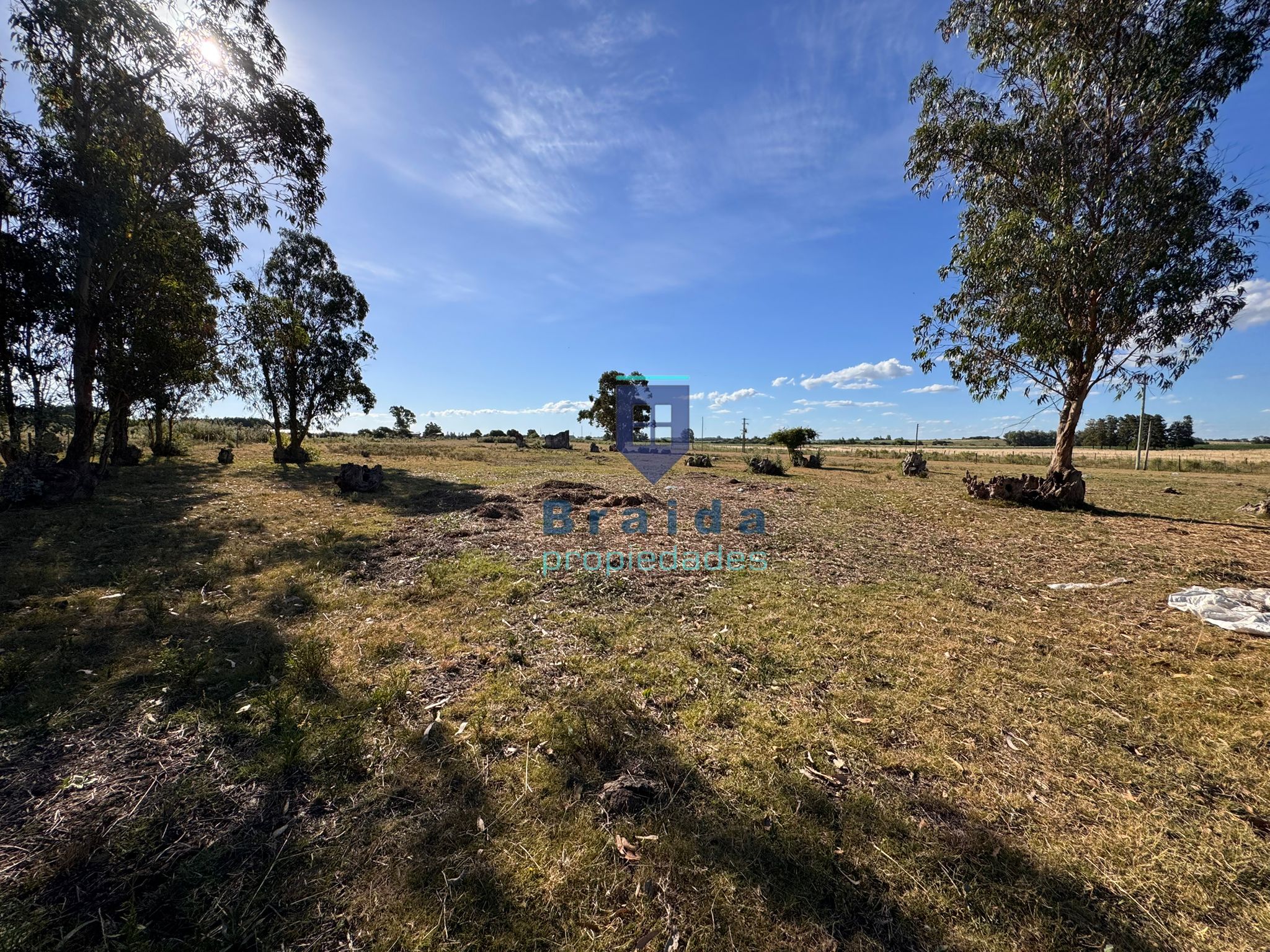 Campo de 11 hectáreas en km 49