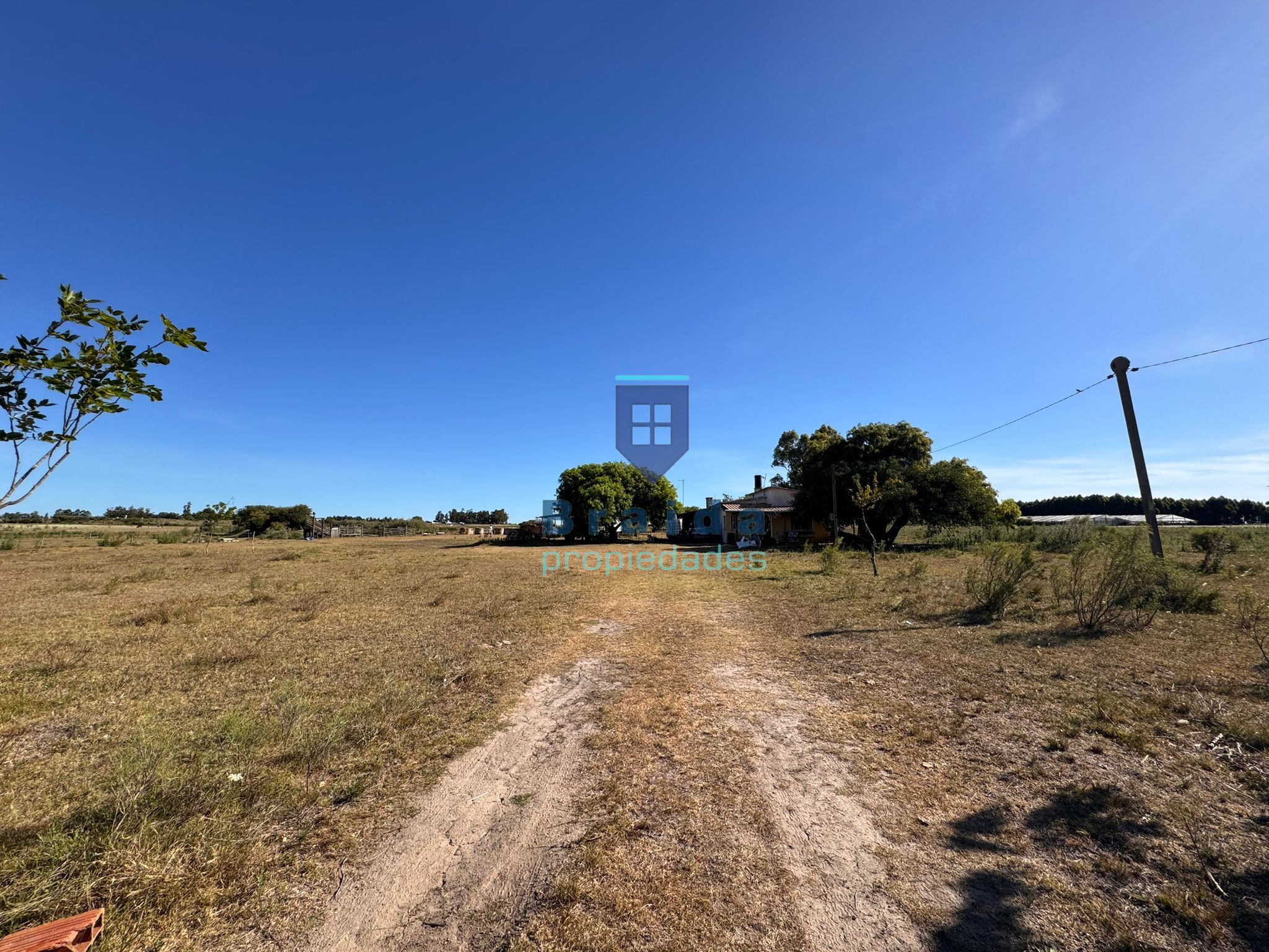 Campo de 11 hectáreas en km 49