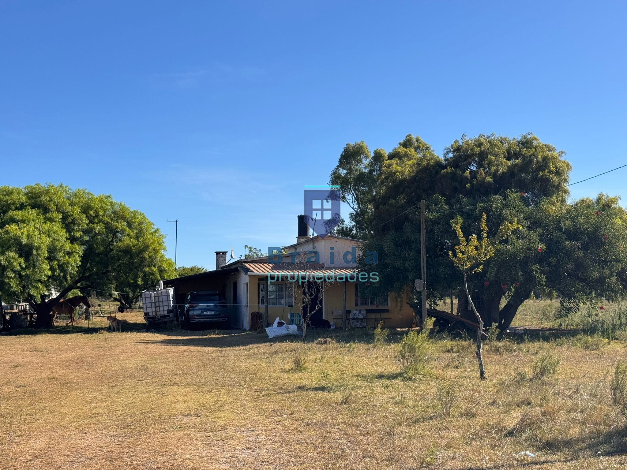 Campo de 11 hectáreas en km 49