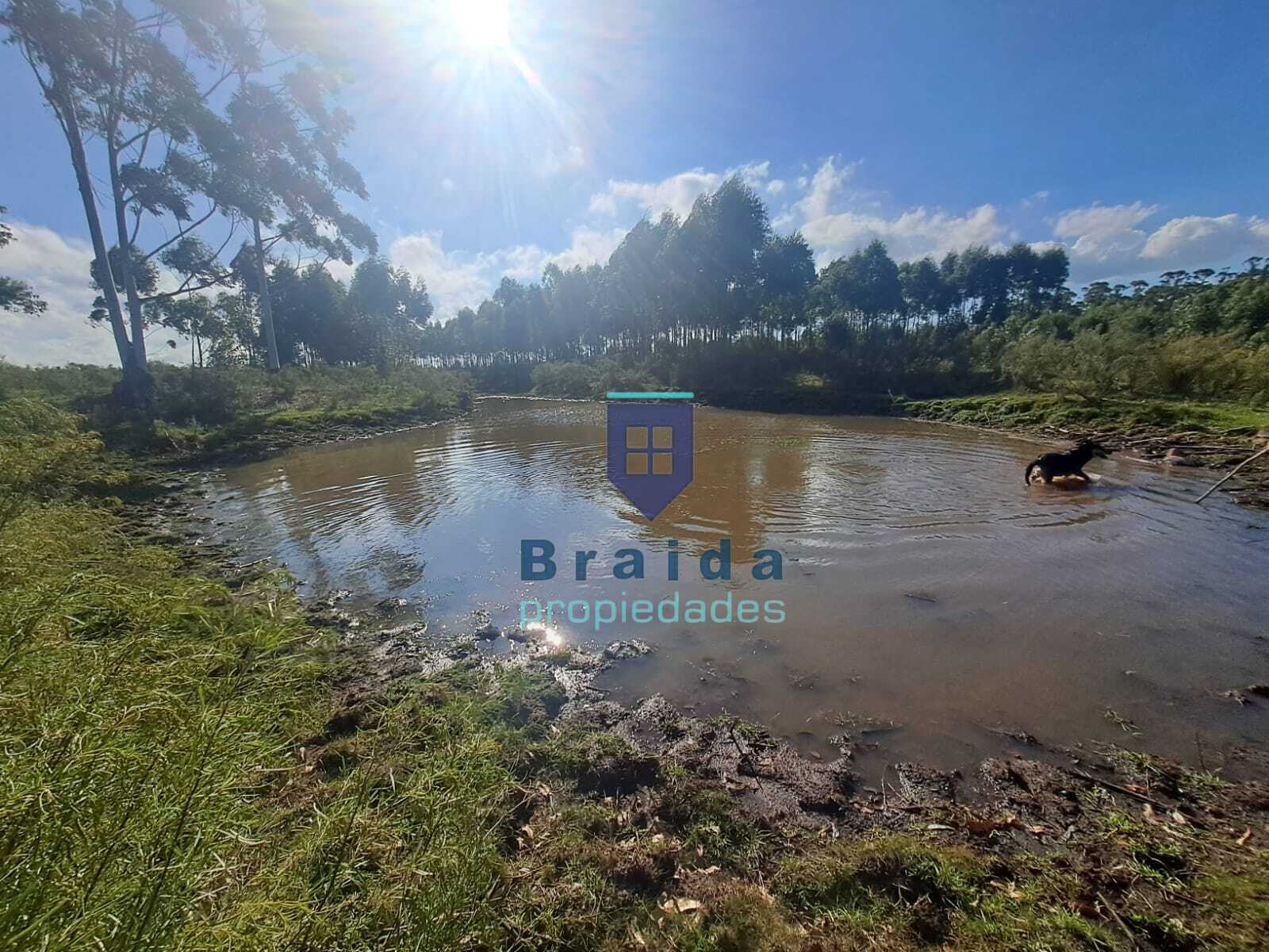 Gran chacra de 10 hectáreas con dos viviendas
