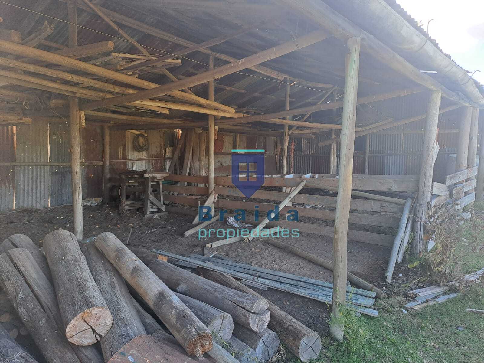 Gran chacra de 10 hectáreas con dos viviendas