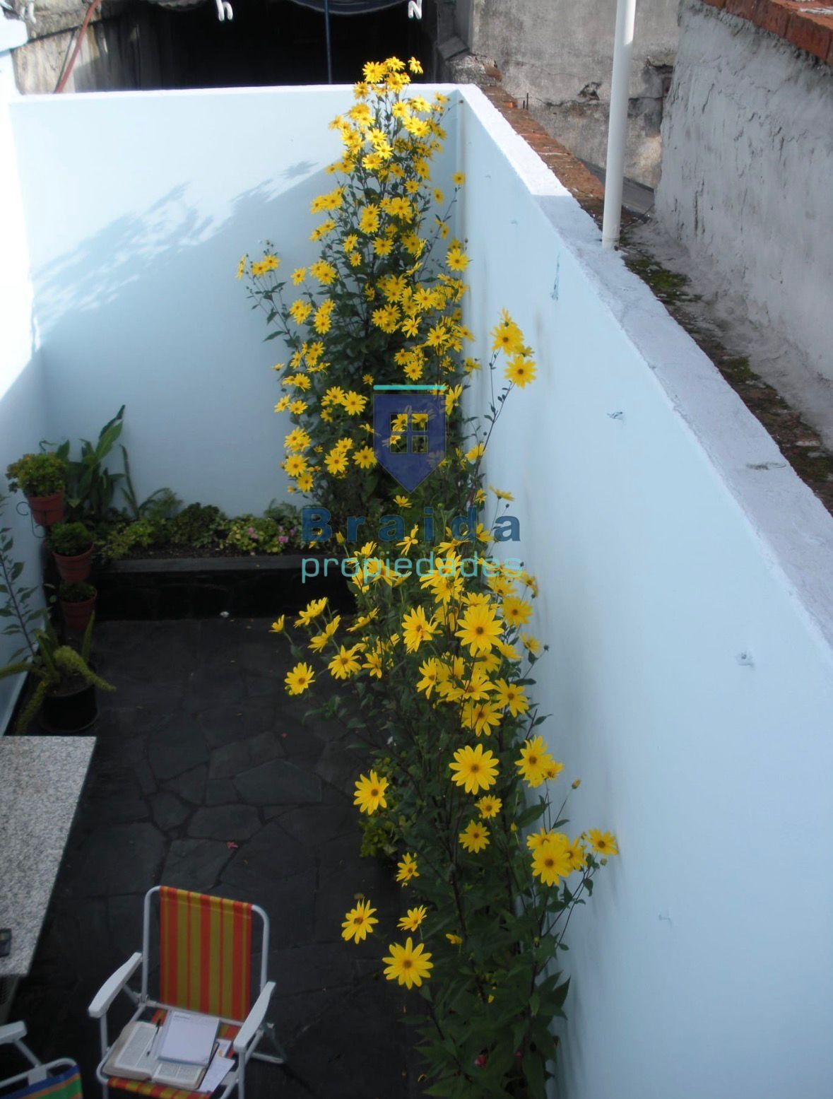 Gran casa en La Unión, Montevideo