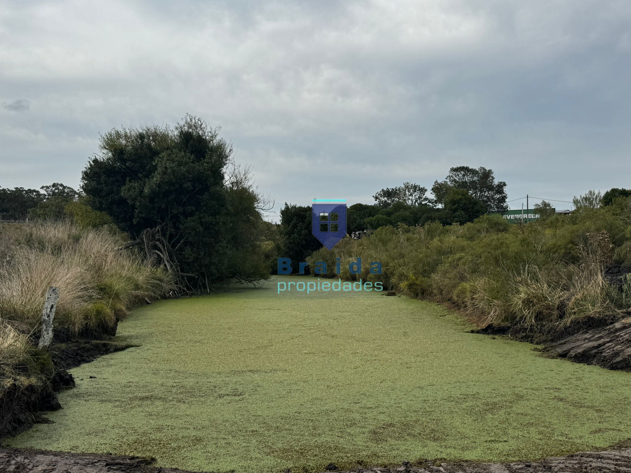 Gran casa con 3has de campo