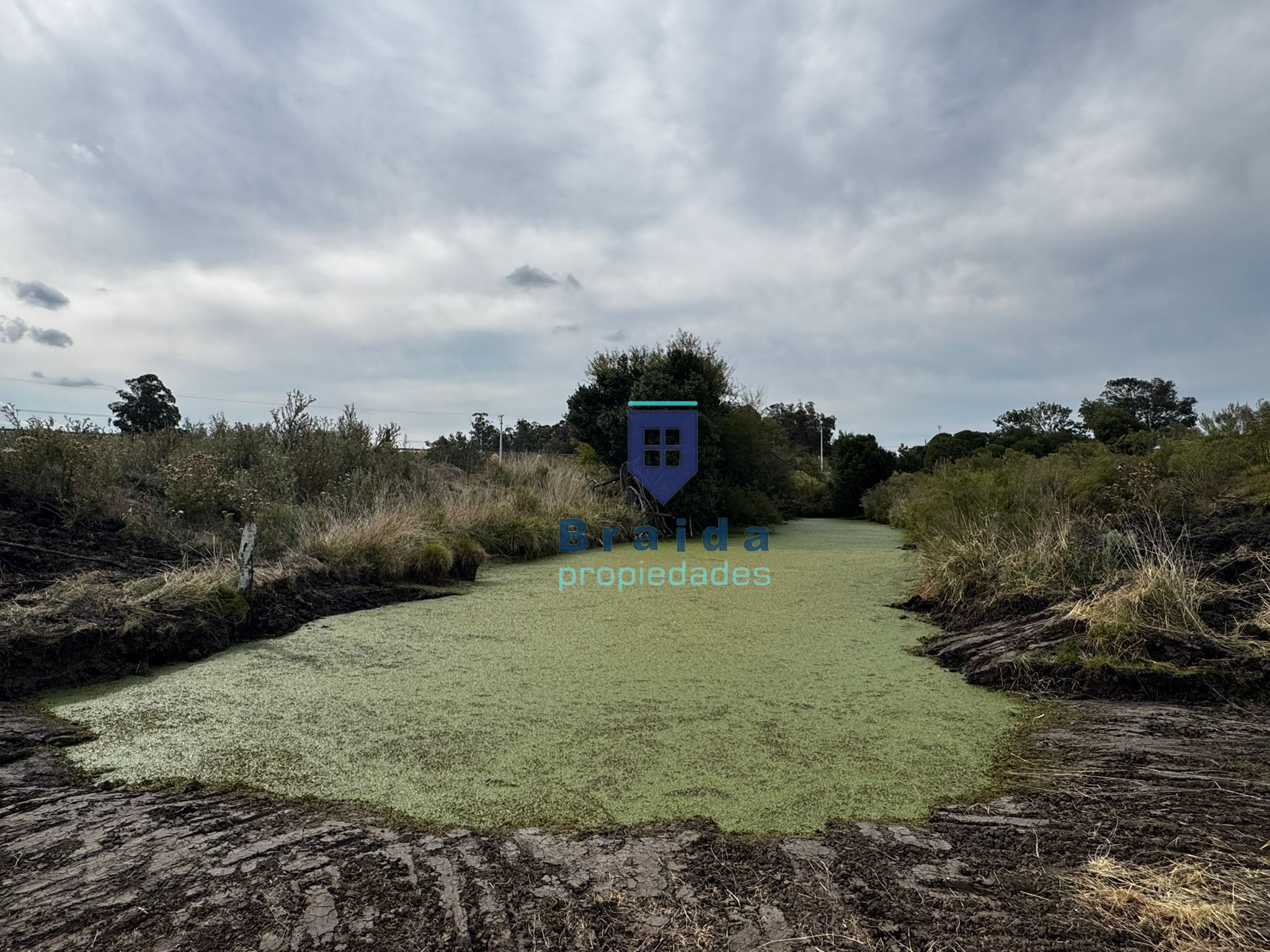 Gran casa con 3has de campo