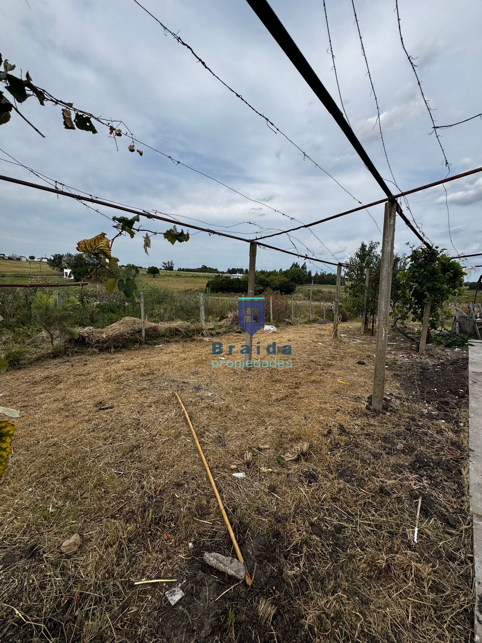 Gran casa con 3has de campo