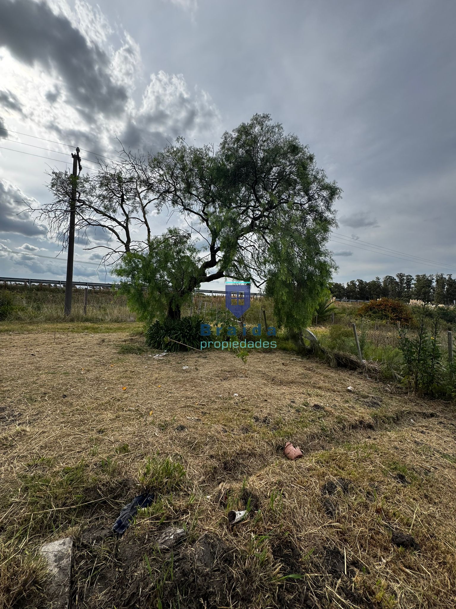 Gran casa con 3has de campo