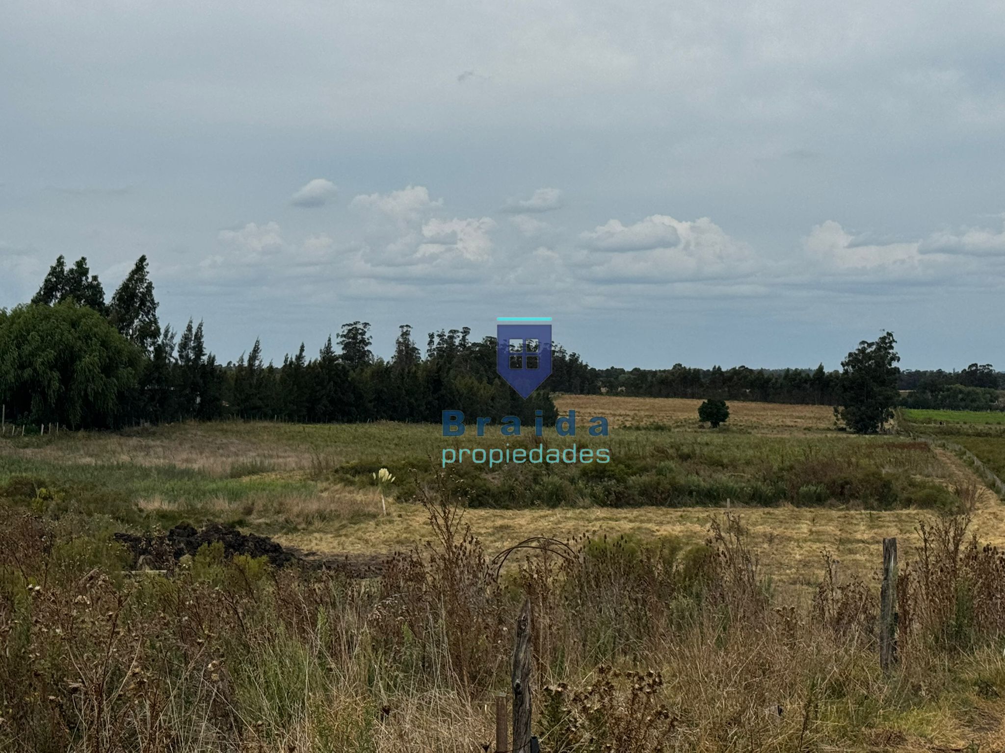 Gran casa con 3has de campo