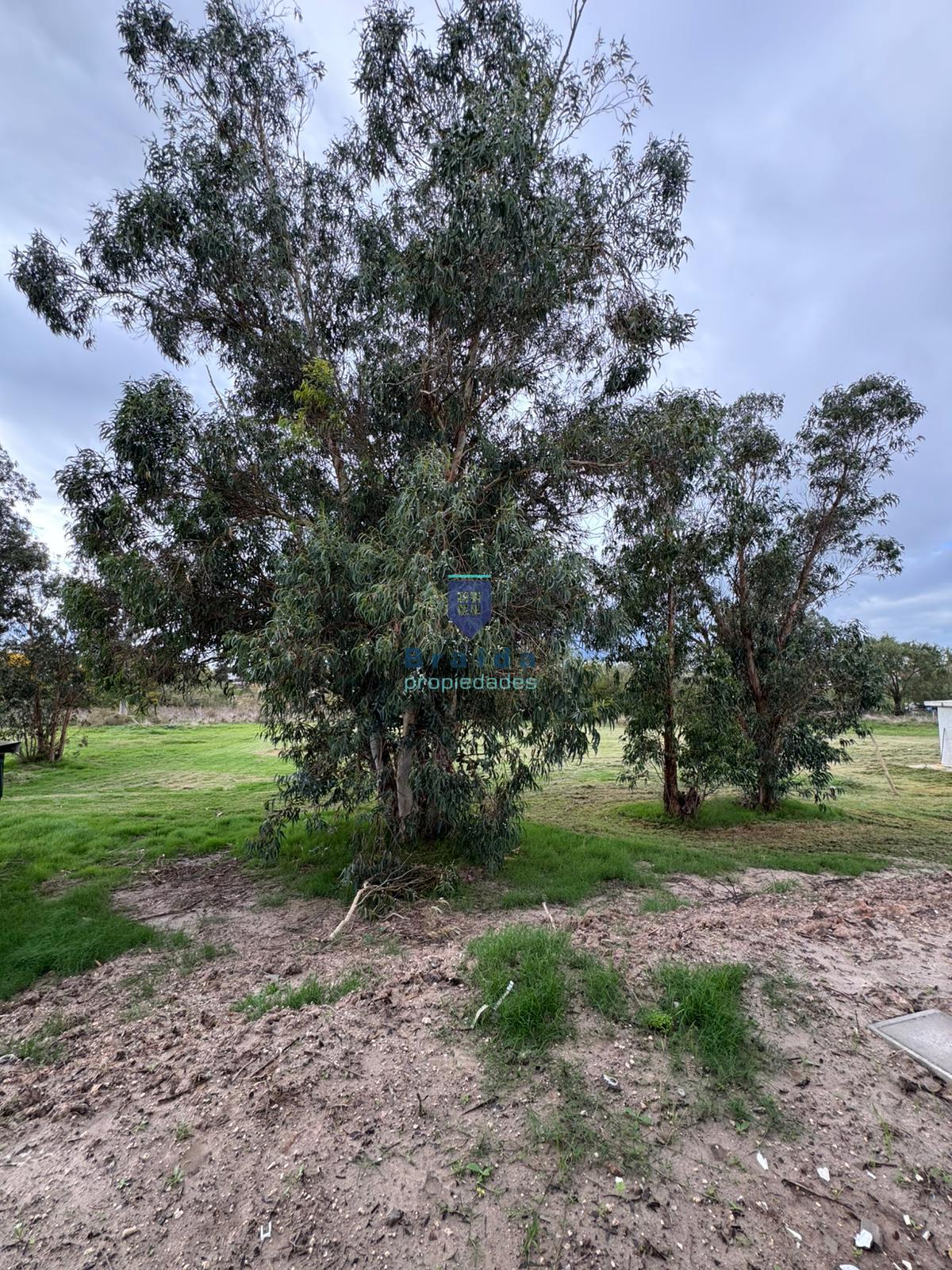 Gran vivienda de dos dormitorios semi amoblada