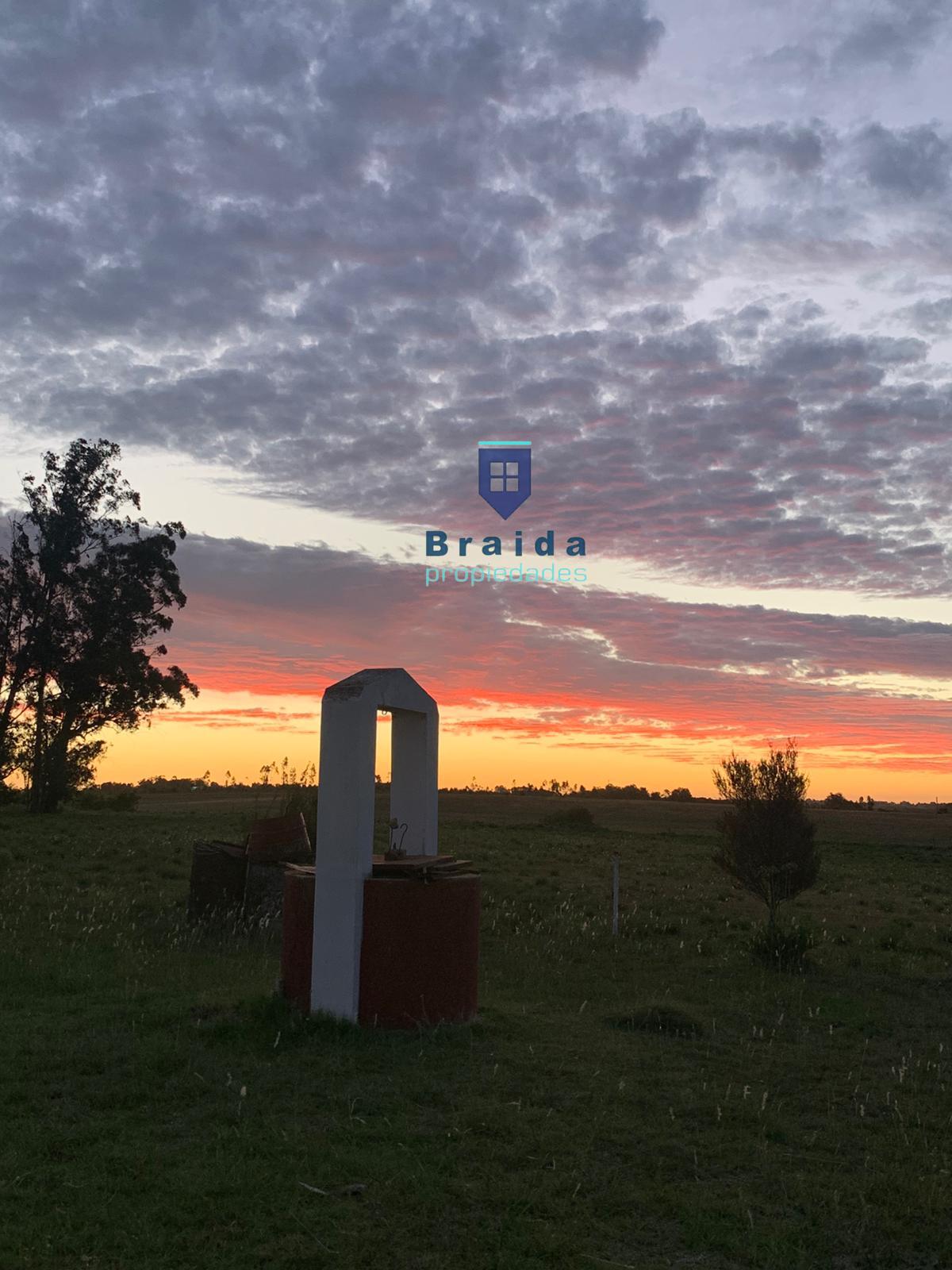Chacra de 3,5 has con casa en San Jacinto