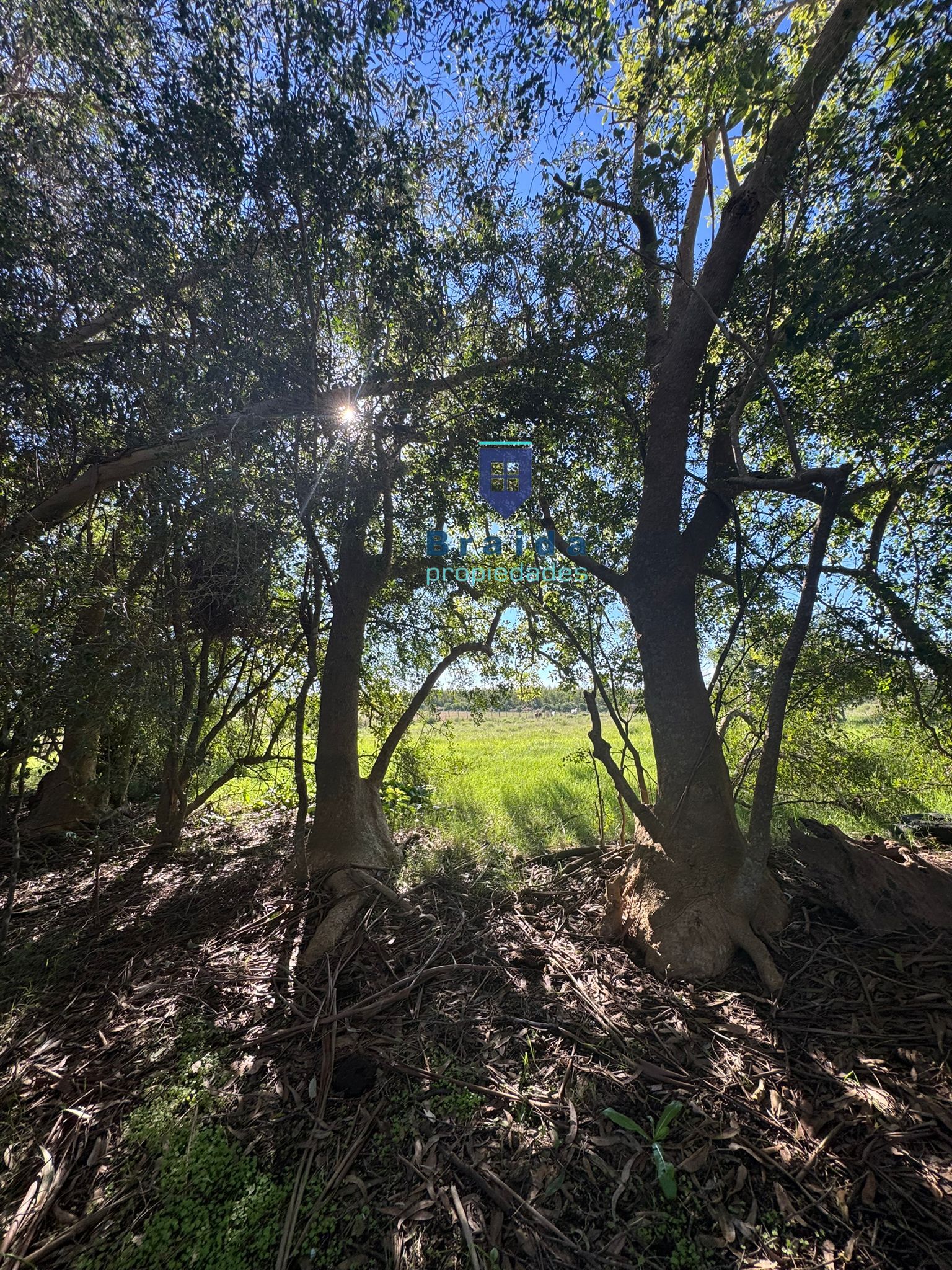 Chacra de 3,5 has con casa en San Jacinto