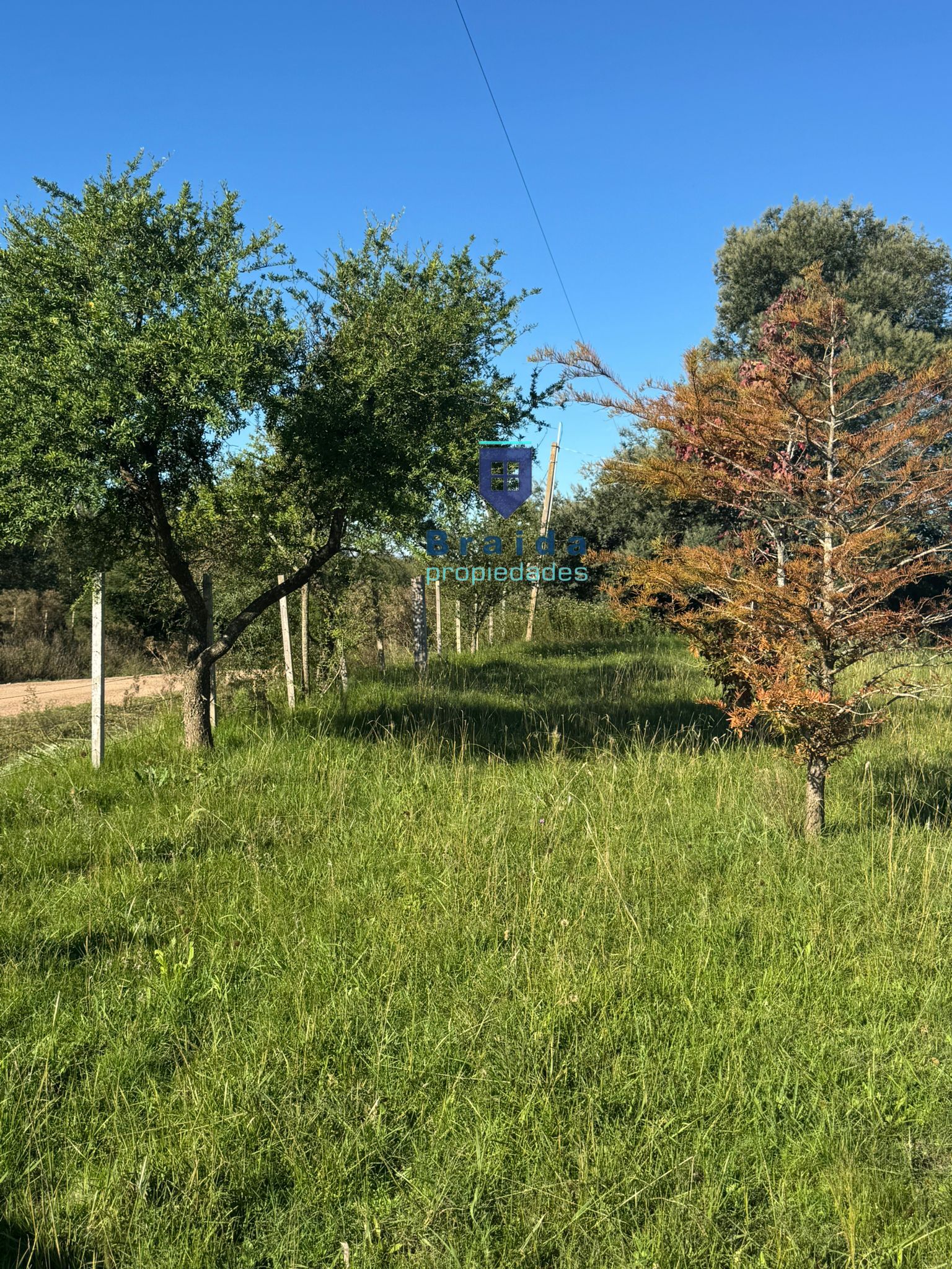 Chacra de 3,5 has con casa en San Jacinto