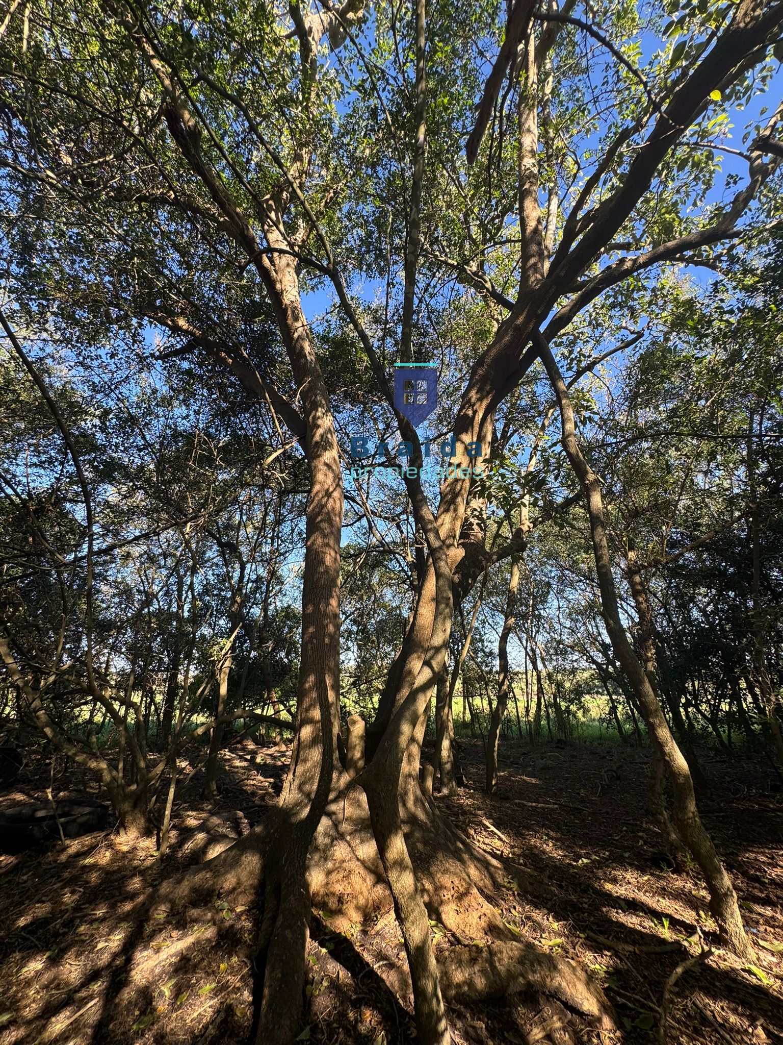 Chacra de 3,5 has con casa en San Jacinto